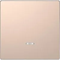 Клавиша для 1-кл. выкл. Merten D-Life линза для LED мод. SD шампань SchE MTN3320-6051