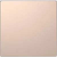 Клавиша для 1-кл. выкл. Merten D-Life SD шампань SchE MTN3300-6051