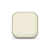 Выключатель 1-кл. 1п ОП 10А IP20 сл. кость IONICH 1423