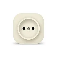 Розетка 1-м ОП 10А IP20 без заземл. сл. кость IONICH 1431