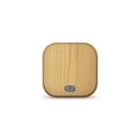 Выключатель 1-кл. 1п ОП 10А IP20 с подсветкой сосна IONICH 1435