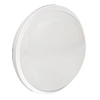 Светильник светодиодный ЖКХ ДПО-2009 12Вт 6500К IP65 круг LUMA EKF BKL-2009-R-12-6500